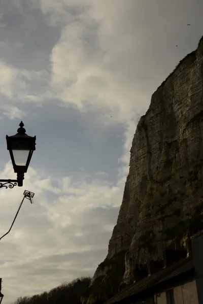 DSC_1329 (Large).JPG